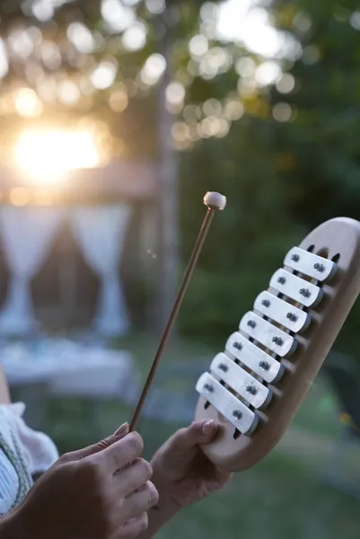 Metalofon pentatonic, varianta 4