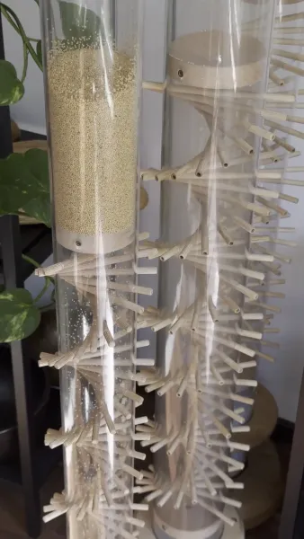 Rain Stick cu amarant + suport, imagine din video